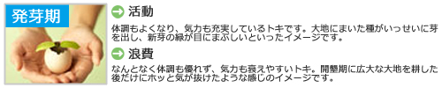 個性_発芽.jpg