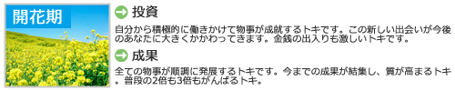 個性_開花.jpg